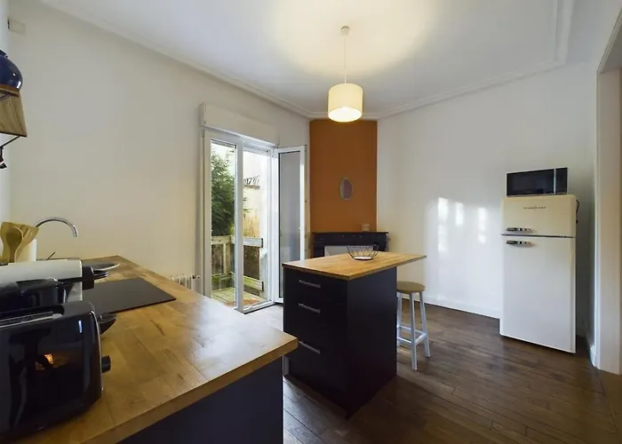 Ana's Silky Appartement Nancy